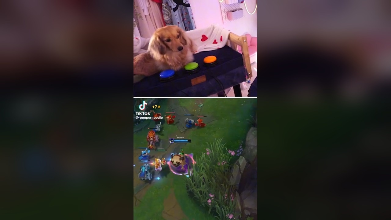 3つのボタンを前にした犬と、ユーミを操作するゲーム画面
